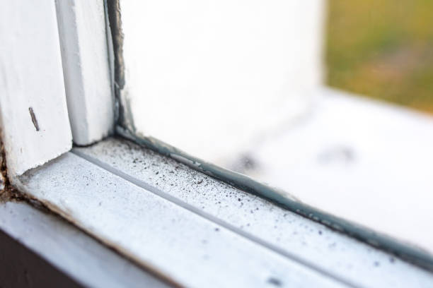Best HVAC Mold Inspection and Cleaning  in Chickasaw, AL