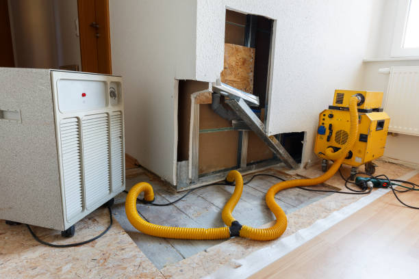 Best Biohazard Mold Removal  in Chickasaw, AL
