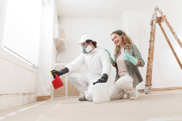 Trusted Chickasaw, AL Mold Removal Experts